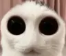 brono's Avatar